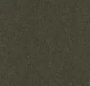 Nori