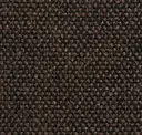 Black Truffle
