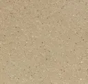 15is Buckskin Ironspot