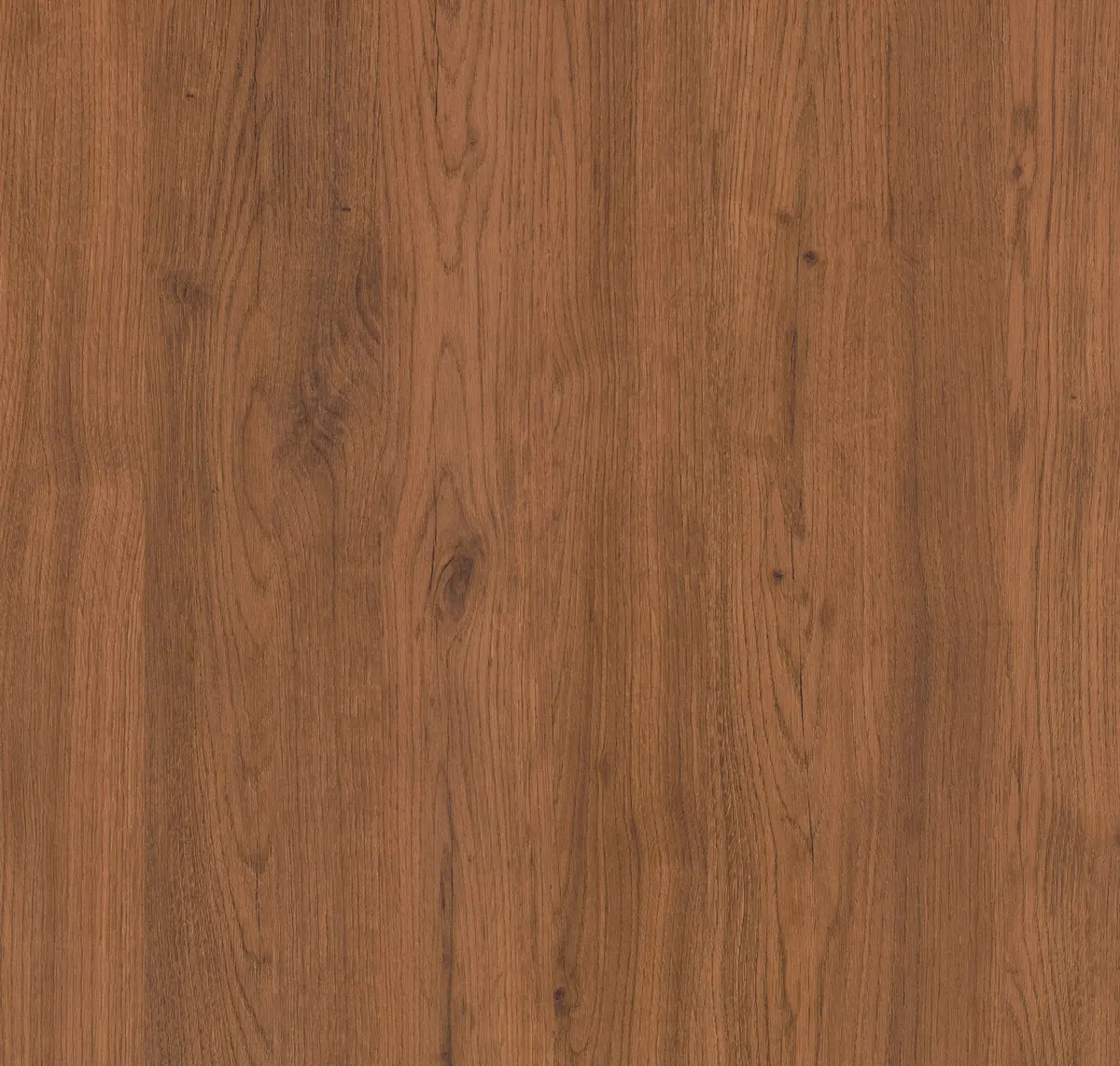 Main