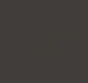 303