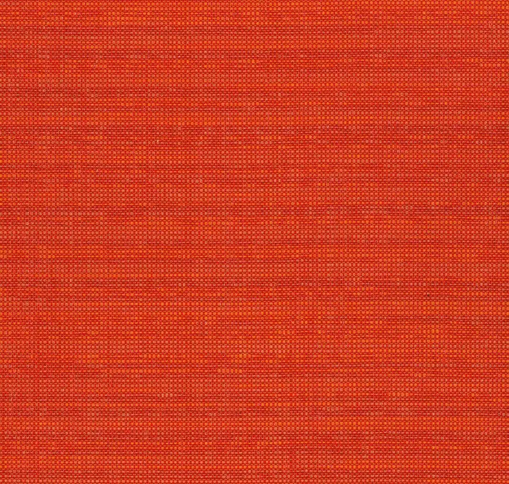 Main