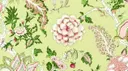 Celery & Shell