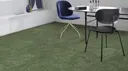 Palm