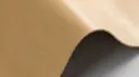 Rind-16