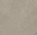 Puddle