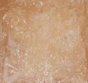 Ochre