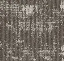 Cedar