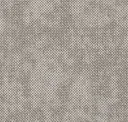 Light Taupe