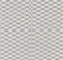 White/grey