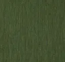 Dill