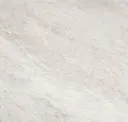 Fossil