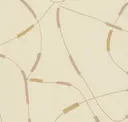 Sand Dune Swirl