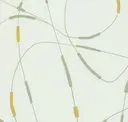 Wandering Willow