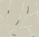 Blooming Beige