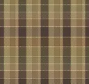 Muted Ochre