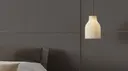 Alpaca