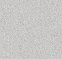 8002 Cool White