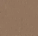 Tempo