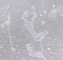 8867