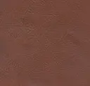 Sandstorm