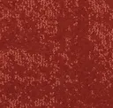555