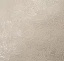 Veiled Cashmere