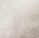 Silver Fortune