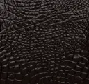 44304