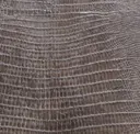 081