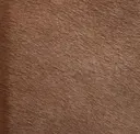 P273