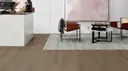 European Walnut