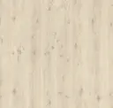 Notus Oak