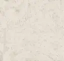 Parchment