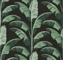 Black Green