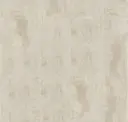Plaster