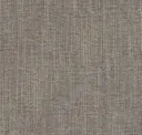 Fossil