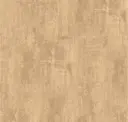 Cork