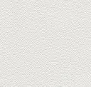 Gesso
