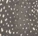 Pebble
