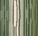Spruce