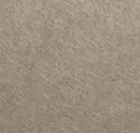 Pebble