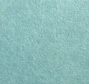 Duck Egg