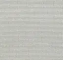 Shingles