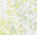 Citron