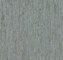 Medium Cool Grey