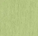 Light Olive Green
