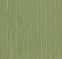 Erba
