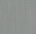 Tortora