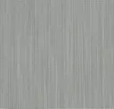 Tortora